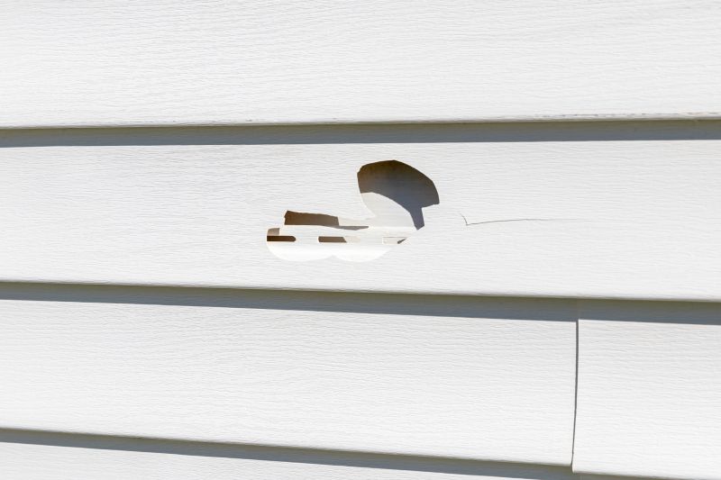 Siding Repairs