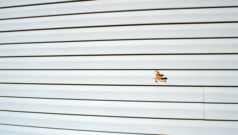 Vertical Vinyl Siding Repair